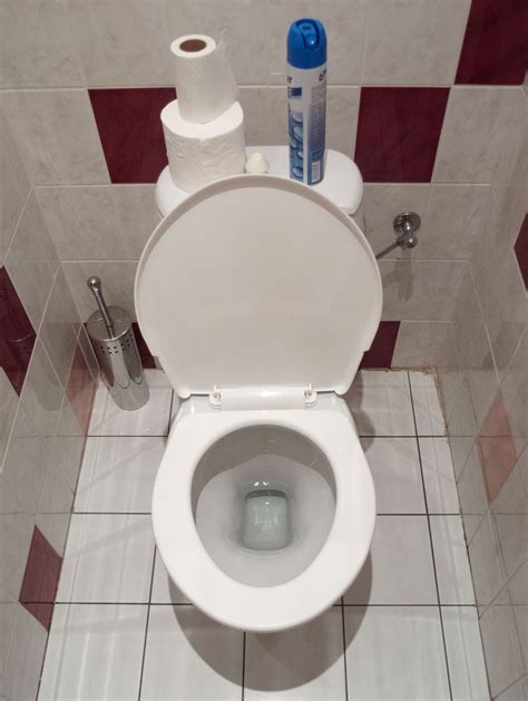 pic of toilet